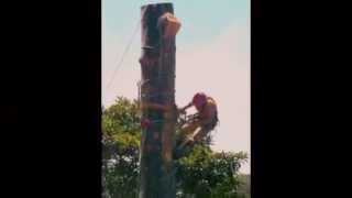 Famous Blocking Down a Tree - Negative Rigging - Central Coast NSW Wealth