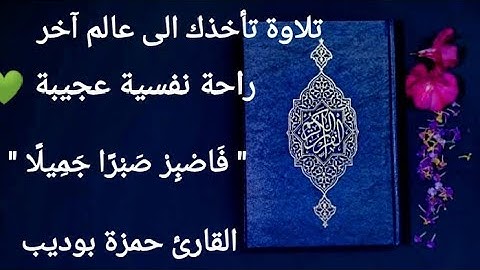 " فَاصْبِرْ صَبْرًا جَمِيلًا " ما تيسر من سورة المعارج 💚 القارئ حمزة بوديب 💚 راحة نفسية عجيبة