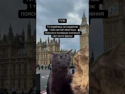 Донт пуш зе хорсес ;)