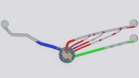 Particle Simulation #23 : Move Like Fluid Simulation