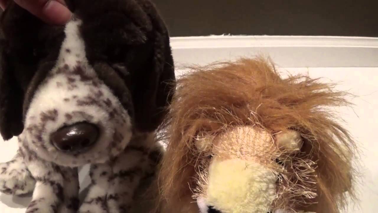 WebKinz Newz: Episode 1