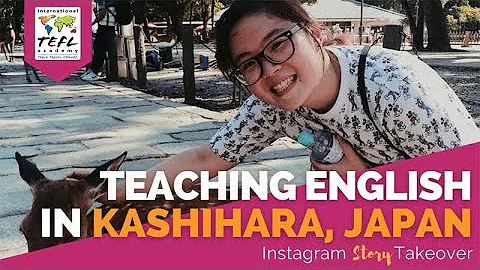 Day in the Life Teaching English in Kashihara, Jap...