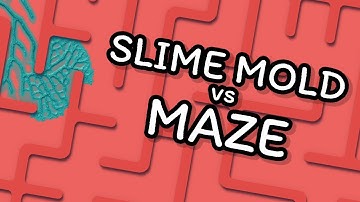 Will Teal Slime Beat Red Maze?