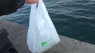 スーパーに売ってるものでかぶせ釣りしてみた