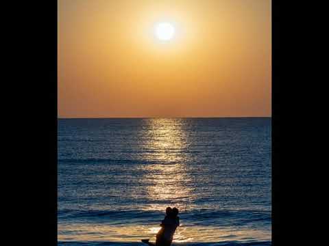 Una Tarde Fue/Cover By LDLR