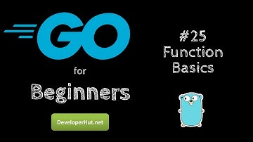 #25 - Go Function Basics