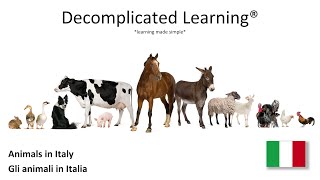 Learn Animals in Italian