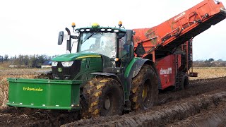 Potato Harvest 2023 in Muddy Fields | John Deere + Dewulf + New Holland