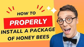 How to properly install a package of honey bees  (2023)