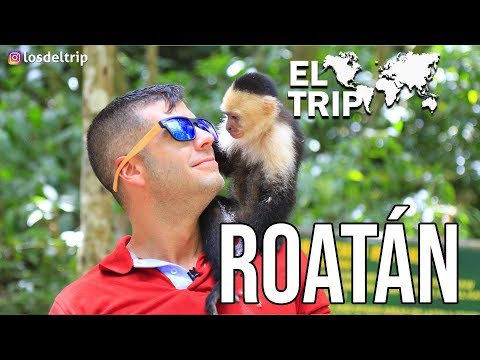 EL TRIP - ROATAN