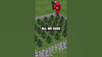 Spruce Instead of Oak Trees