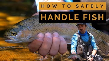 How To Catch and Release Fish (Safe Handling of Trout)