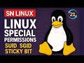 SUID, SGID & Sticky Bit in Linux | Full Explanation with Real-Time Examples