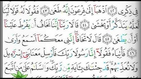 مصحف التجويد الصفحة 314 إبراهيم الأخضر