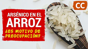 ¿Qué arroz no contiene arsénico?