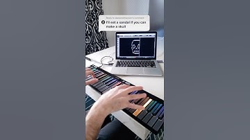 I Was Challenged to Draw a Skull (Live MIDI Art)