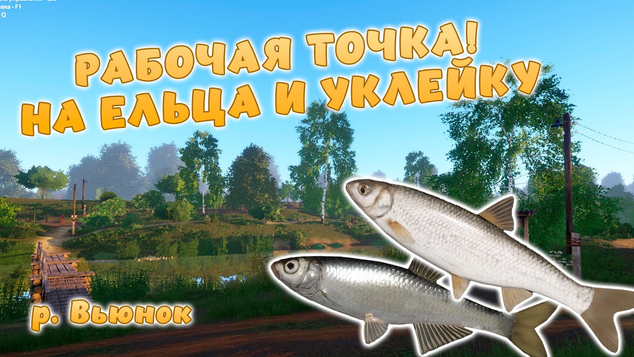 Точки клева рр4