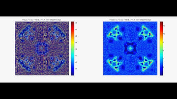 Rosenzweig-Mac-Arthur Model - Lattice Structure - Periodic Boundary Conditions