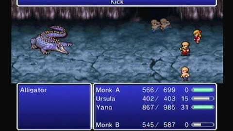 Final Fantasy IV: The After Years - Yang