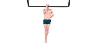 Pull Up - Step 10 - One Arm Pullups - Convict Conditioning - Bodyweight Exercise - Calisthenics