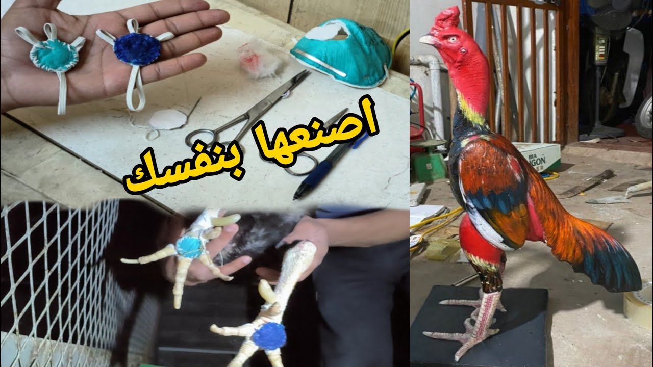 اصنعها بنفسك واحمي الديك من الاصابه بالعتل  ( علاج عتل رجل الديك )