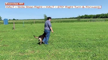 UKC Rally Exercises 411 & 412: Side Step Right – HALT - 270° Righ/Left Turn & Forward
