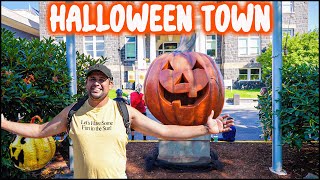 Shadowbrook Halloween Town!!, TOUR