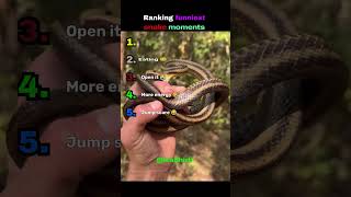 Ranking Funniest Snake Moments