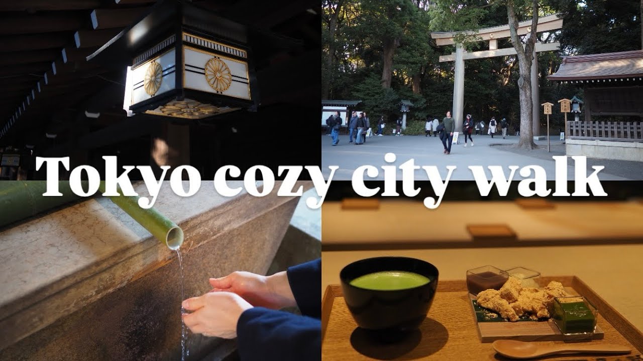 《明治神宮・表参道》厄除け・合格祈願のご祈祷へ⛩️夕暮れの明治神宮/表参道のお気に入りカフェ