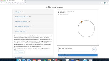 Turtle Academy 04 The turtle answer
