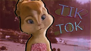 Клип - Тик Ток . Бурундушки . Клип - Тик Ток . Бурундушки .