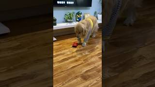 This Is An Oscar Worthy Performace...