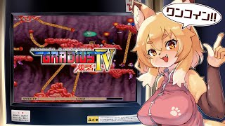 【グラディウスIV】今日こそ…今日こそ…【Vtuber／なずみちゃん】