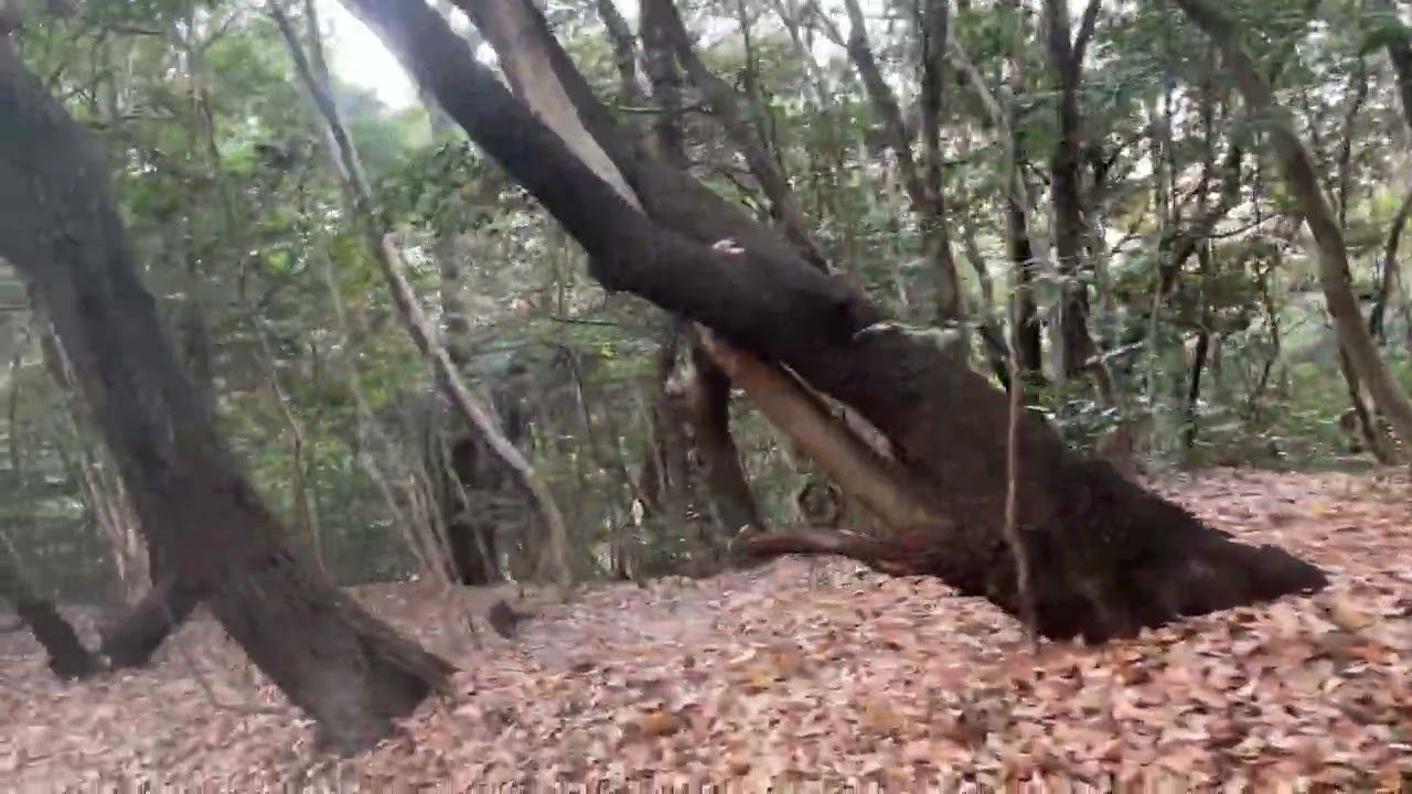 2026/1/12 元宮（熱田神宮末社）