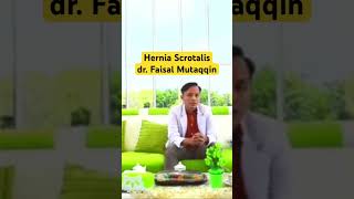 Hernia Scrotalis