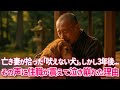 亡き妻が拾った吠えない犬。しかし3年後、その声に住職が震えて泣き崩れた理由とは…【感動する話】