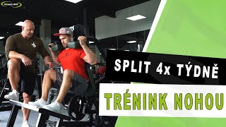 TRÉNINK 3/4 | Legday. Přední stehna, hamstringy a lýtka. Velikost a síla.