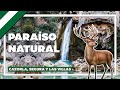 CAZORLA, QUÉ VER EN LA SIERRA DE CAZORLA, SEGURA Y LAS VILLAS 🏞️ | Andalucía #5