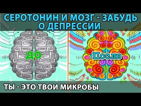 Серотонин - твой источник счастья. Влияние на мозг и пр. Как позабыть о депрессии