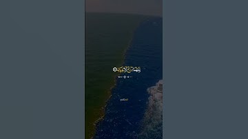 حالات واتس اب الشيخ "ياسر الدوسري" من سورة الرحمن"مرج البحرين يلتقيان"🥀🖤