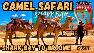 Camel Safari. Shark Bay to Broome. Part 1