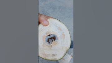 Cách chặt dừa lấy nước đơn giản #shorts #dua