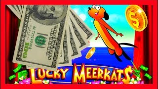 BIG WINS! RARE 2X Bonus! Lucky Meerkats Slot Machine Bonuses! screenshot 5
