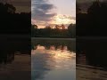 sunrise #nature #lake #birds #naturesounds
