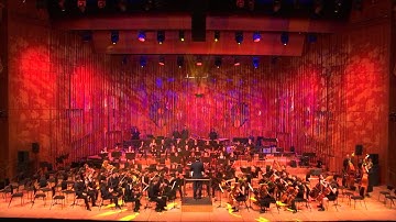 Tower Hamlets Youth Orchestra perform Extracts from The Firebird, by Stravinsky at Barbican Centre