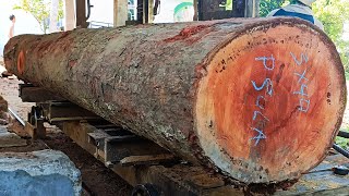 the process of sawing 5 meter long giant durian wood into thick, expensive boards