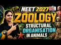 NEET 2027 ZOOLOGY | Structural Organisation in Animals 🔥 FULL CHAPTER