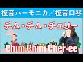 P624. チム・チム・チェリー ”Chim Chim Cher-ee” 複音ハーモニカ by　柳川優子 Yuko Yanagawa　Tremolo Harmonica 1000　複音口琴