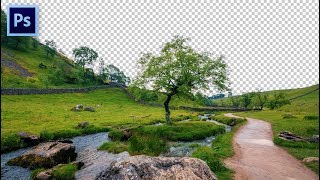 Cara Seleksi Gambar Dengan Alpha Channel - TUTORIAL PHOTOSHOP