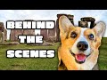 How We Made a Viral Video! (Behind the Scenes)